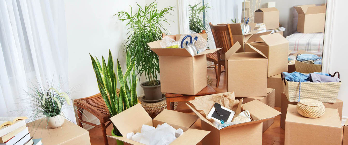 , movers and packers in Guwahati 
